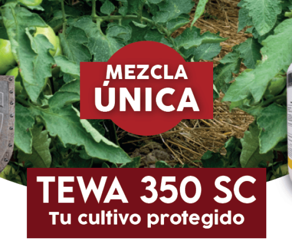 Tewa-insecticida-mezcla-unica-(1)
